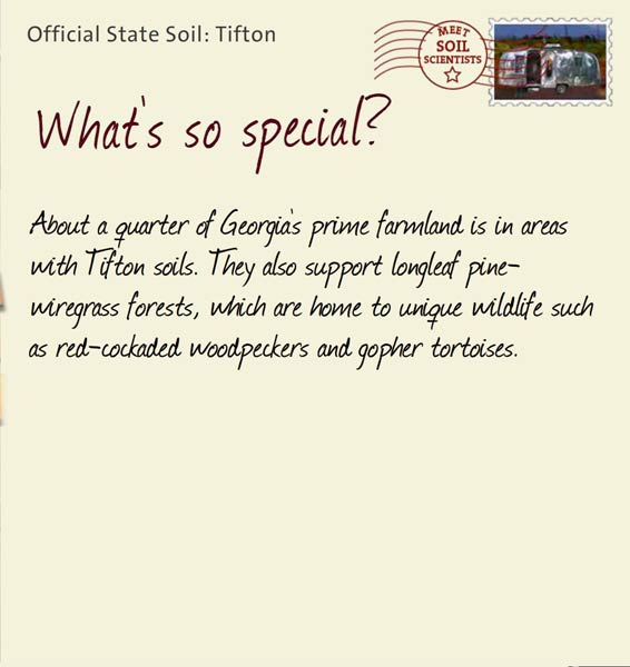 Official State Soil: Tifton 
May 28th 


About a quarter of Georgia's prime farmland is in areas with Tifton soils. They also support longleaf pine-wiregrass forests, which are home to unique wildlife such as red-cockaded woodpeckers and gopher tortoises.
