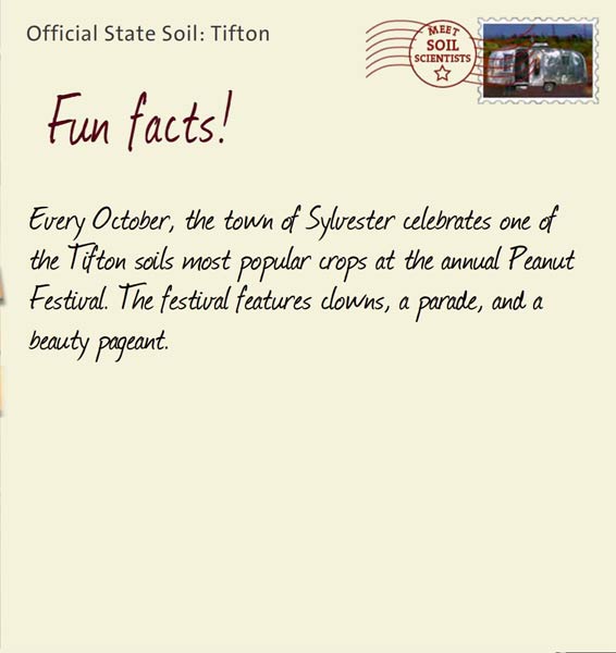 Official State Soil: Tifton 
May 28th 


Every October, the town of Sylvester celebrates one of the Tifton soils most popular crops at the annual Peanut Festival. The festival features clowns, a parade, and a beauty pageant. 
