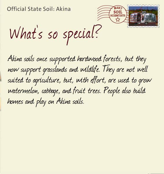 Official State Soil: Akina 
July 21st 


Akina soils once supported hardwood forests, but they now support grasslands and wildlife. They are not well suited to agriculture, but, with effort, are used to grow watermelon, cabbage, and fruit trees. People also build homes and play on Akina soils.
