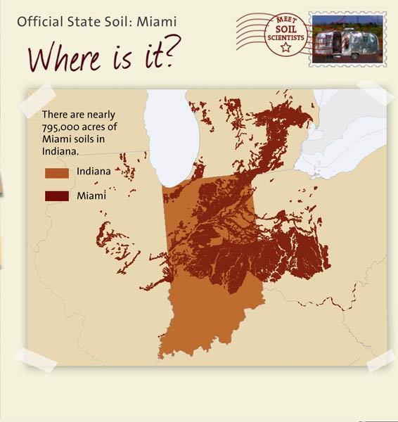 Official State Soil: Miami 
March 26th 

This is a map of Indiana showing the location of Miami soils. There are nearly 795,000 acres of Miami soils in Indiana.