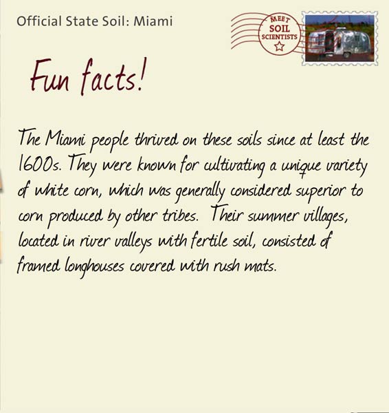 Official State Soil: Miami 
March 26th 


The Miami people thrived on these soils since at least the 1600s. They were known for cultivating a unique variety of white corn, which was generally considered superior to corn produced by other tribes.  Their summer villages, located in river valleys with fertile soil, consisted of framed longhouses covered with rush mats.
