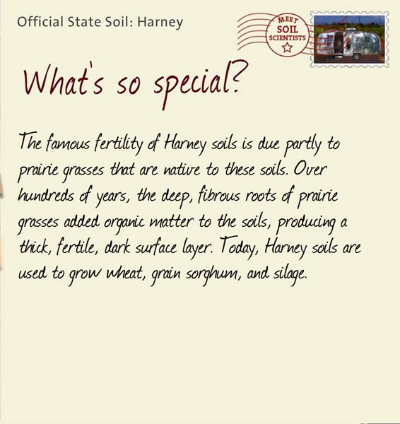 Official State Soil: Harney 
October 26th 


The famous fertility of Harney soils is due partly to prairie grasses that are native to these soils. Over hundreds of years, the deep, fibrous roots of prairie grasses added organic matter to the soils, producing a thick, fertile, dark surface layer. Today, Harney soils are used to grow wheat, grain sorghum, and silage.
