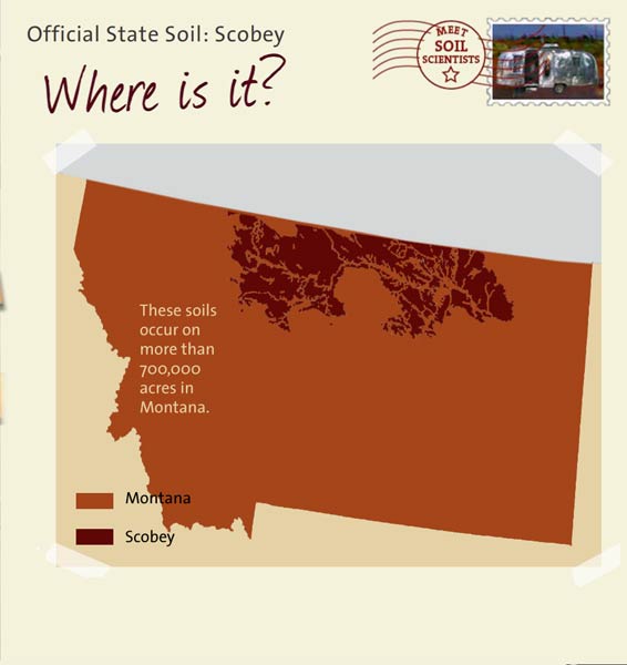 Official State Soil: Scobey 
August 14th 

This is a map of Montana showing the location of Scobey soils. These soils occur on more than 700,000 acres in Montana.