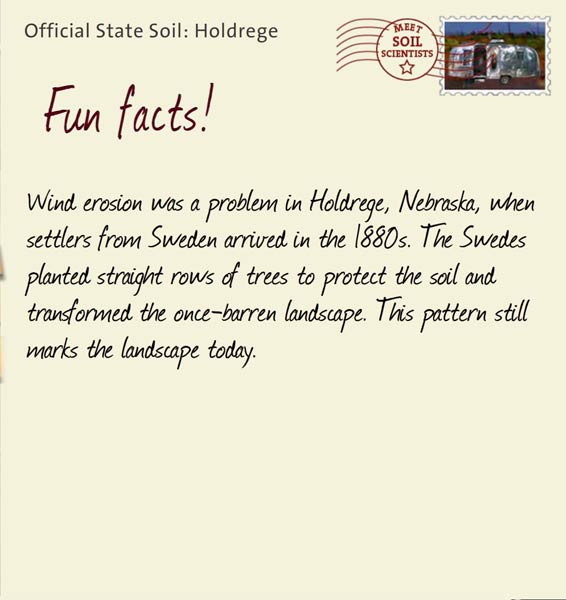 Official State Soil: Holdrege 
September 13th 


Wind erosion was a problem in Holdrege, Nebraska, when settlers from Sweden arrived in the 1880s. The Swedes planted straight rows of trees to protect the soil and transformed the once-barren landscape. This pattern still marks the landscape today. 
