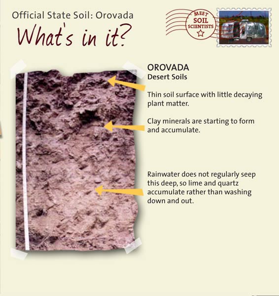 Official State Soil: Orovada 
January 3rd 

This is a photo of the layers that make up a Orovada soil profile. Orovada: Layer 1: Thin soil surface with little decaying plant matter. Layer 2: Clay minerals are starting to form and accumulate. Layer 3: Rainwater does not regularly seep this deep, so lime and quartz accumulate rather than washing down and out.