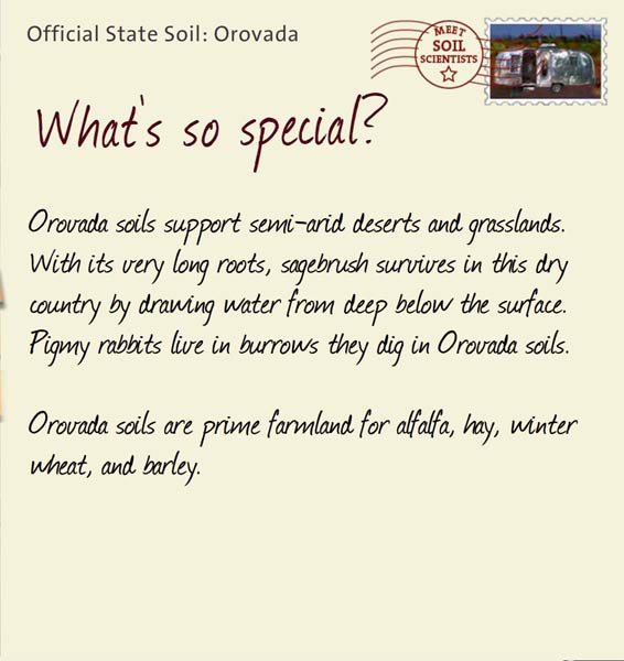Official State Soil: Orovada 
January 3rd 


Orovada soils support semi-arid deserts and grasslands. With its very long roots, sagebrush survives in this dry country by drawing water from deep below the surface.  Pigmy rabbits live in burrows they dig in Orovada soils.

Orovada soils are prime farmland for alfalfa, hay, winter wheat, and barley. 
