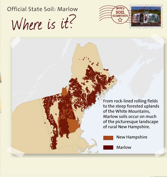 Official State Soil: Marlow 
October 18th 

This is a map of New Hampshire showing the location of Marlow soils. From rock-lined rolling fields to the steep forested uplands of the White Mountains, Marlow soils occur on much of the picturesque landscape of rural New Hampshire.