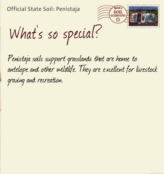 Official State Soil: Penistaja 
October 5th 


Penistaja soils support grasslands that are home to antelope and other wildlife. They are excellent for livestock grazing and recreation. 
