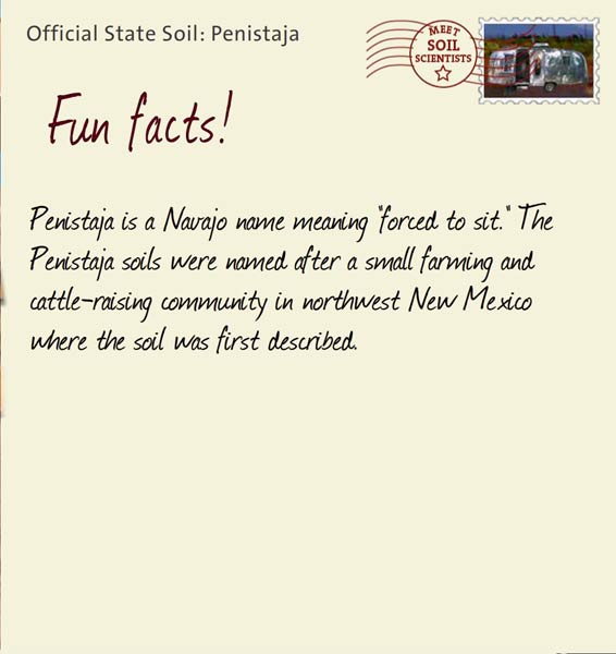 Official State Soil: Penistaja 
October 5th 


Penistaja is a Navajo name meaning "forced to sit." The Penistaja soils were named after a small farming and cattle-raising community in northwest New Mexico where the soil was first described. 
