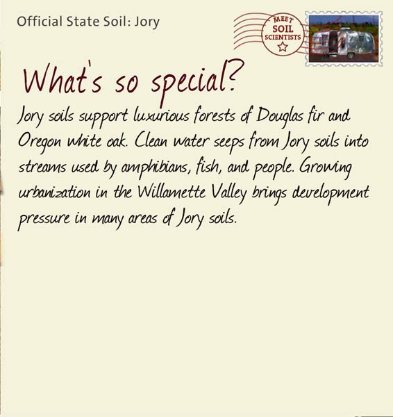 Official State Soil: Jory 
May 7th 


Jory soils support luxurious forests of Douglas fir and Oregon white oak. Clean water seeps from Jory soils into streams used by amphibians, fish, and people. Growing urbanization in the Willamette Valley brings development pressure in many areas of Jory soils.
