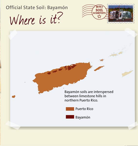 Official State Soil: Bayamón 
December 15th 

This is a map of Puerto Rico showing the location of Bayamón soils. Bayamón soils are interspersed between limestone hills in northern Puerto Rico.
