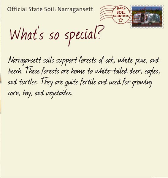 Official State Soil: Narragansett 
February 5th 


Narragansett soils support forests of oak, white pine, and beech. These forests are home to white-tailed deer, eagles, and turtles. They are quite fertile and used for growing corn, hay, and vegetables.
