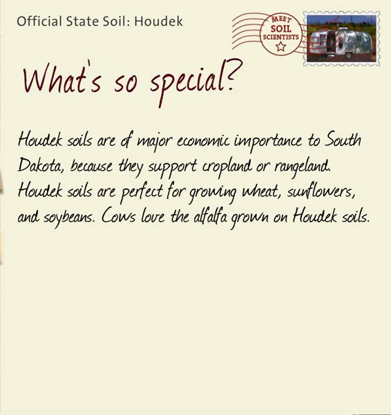 Official State Soil: Houdek 
June 1st 


Houdek soils are of major economic importance to South Dakota, because they support cropland or rangeland. Houdek soils are perfect for growing wheat, sunflowers, and soybeans. Cows love the alfalfa grown on Houdek soils. 
