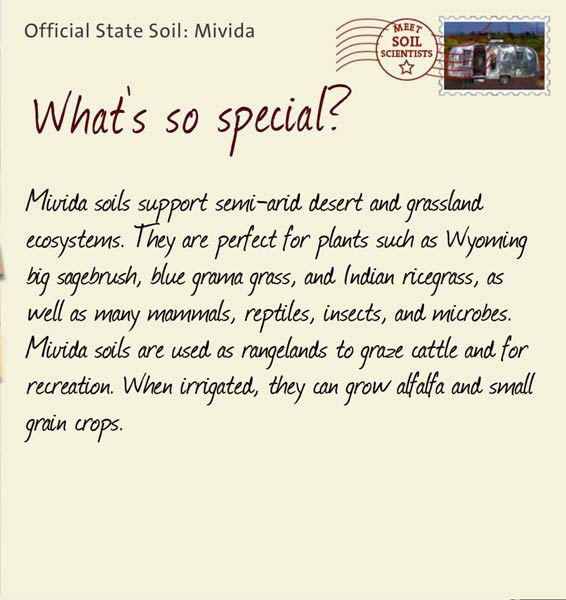 Official State Soil: Mivida 
March 27th 


Mivida soils support semi-arid desert and grassland ecosystems. They are perfect for plants such as Wyoming big sagebrush, blue grama grass, and Indian ricegrass, as well as many mammals, reptiles, insects, and microbes. Mivida soils are used as rangelands to graze cattle and for recreation. When irrigated, they can grow alfalfa and small grain crops.
