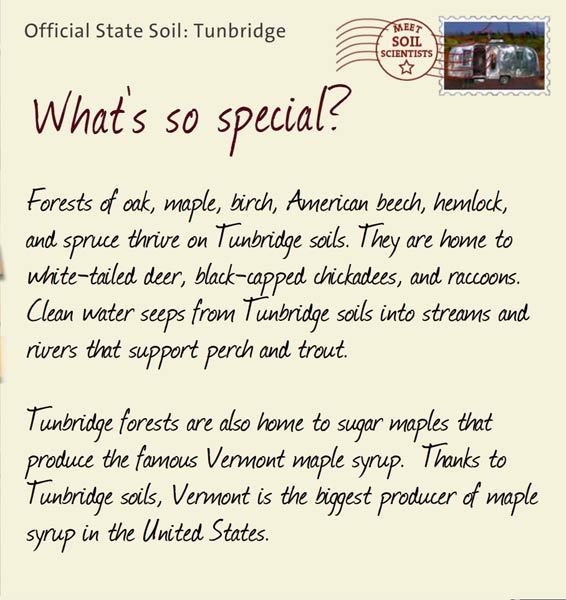 Official State Soil: Tunbridge 
February 5th 


Forests of oak, maple, birch, American beech, hemlock, and spruce thrive on Tunbridge soils. They are home to white-tailed deer, black-capped chickadees, and raccoons. Clean water seeps from Tunbridge soils into streams and rivers that support perch and trout.

Tunbridge forests are also home to sugar maples that produce the famous Vermont maple syrup.  Thanks to Tunbridge soils, Vermont is the biggest producer of maple syrup in the United States. 
