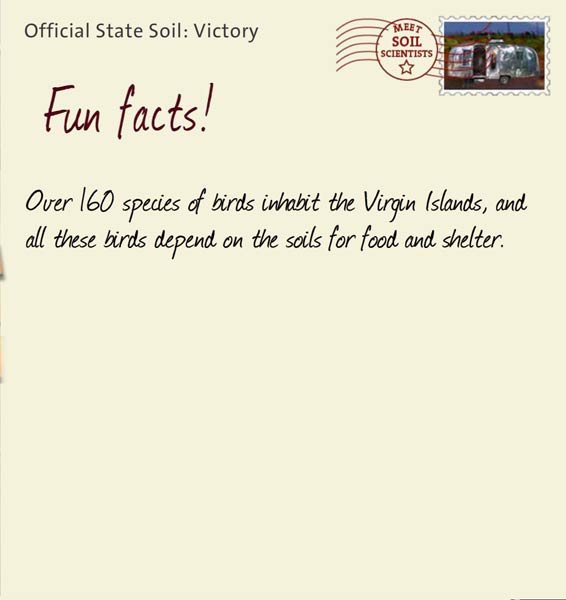 Official State Soil: Victory 
February 25th 


Over 160 species of birds inhabit the Virgin Islands, and all these birds depend on the soils for food and shelter. 
