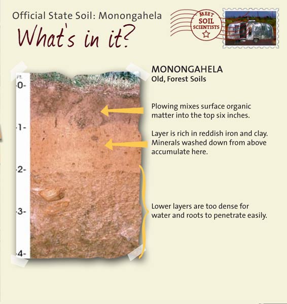 Official State Soil: Monongahela 
May 3rd 

This is a photo of the layers that make up a Monongahela soil profile. Monongahela: Old, Forest Soils. Layer 1: Plowing mixes surface organic matter into the top six inches. Layer 2: Layer is rich in reddish iron and clay. Minerals washed down from above accumulate there.